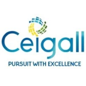 Ceigall — WanX Infra client